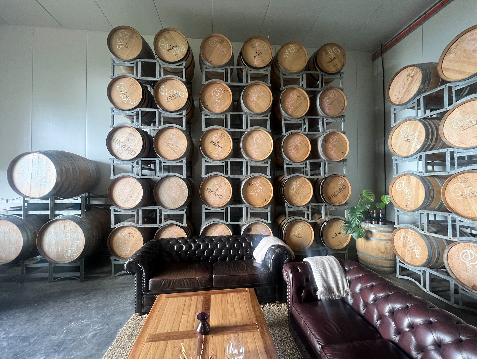 Rikard Wines barrel room — Orange NSW cellar door